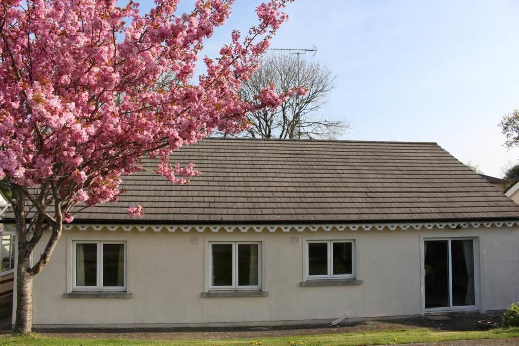 Sunny Bungalow Courtown Luaran gambar