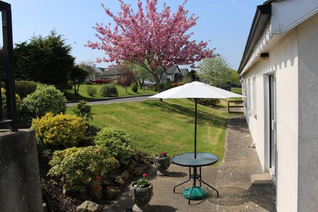 Sunny Bungalow Courtown Luaran gambar